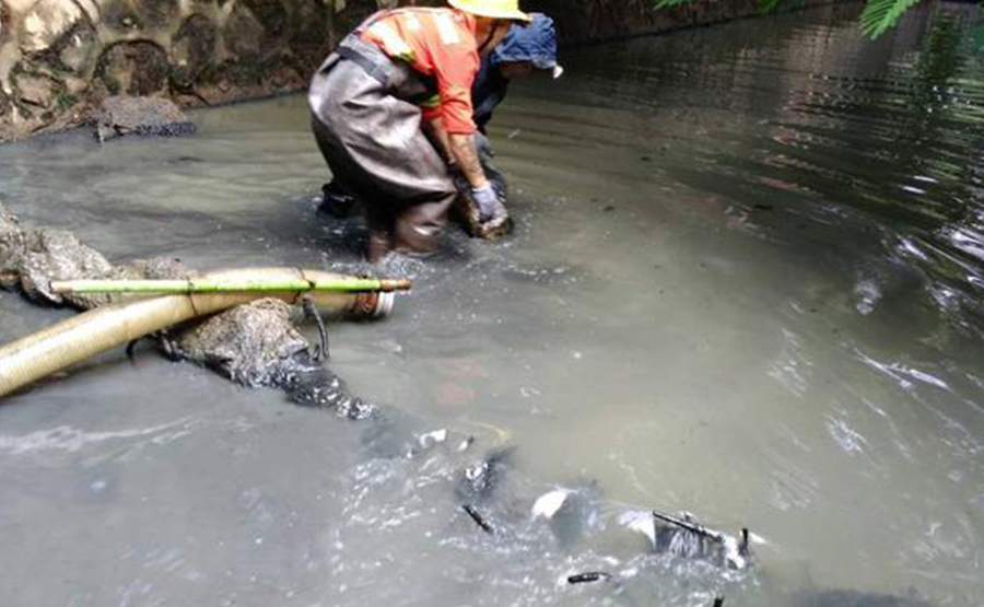 河道污泥脱水机：治理水环境的环保利器